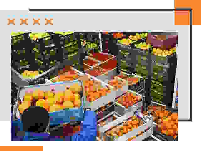 Перевозка скоропортящихся продуктов в Петрозаводске